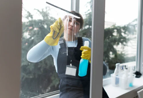 Nettoyage de vitres intérieures et extérieures à Muizon